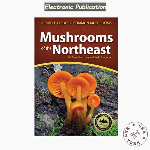 Teresa marrone mushrooms - marrone,