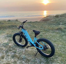 Cyrusher Aura Bici Elettrica