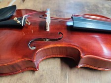 Violino