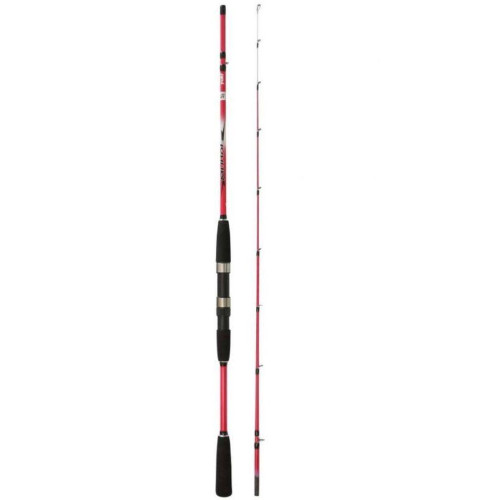 Canna bolentino yuki mukai - canna,