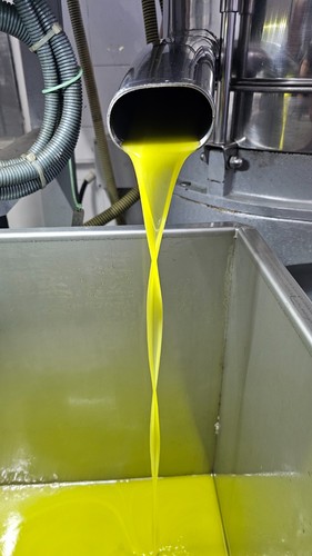 Olio extravergine oliva - olio,