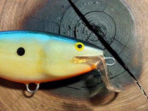Esca dura pesca - dura, da