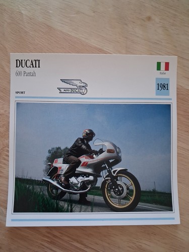 Ducati 600 pantah - ducati, 1981