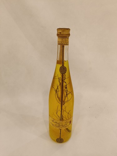 Bottiglia vintage millefiori - vintage,