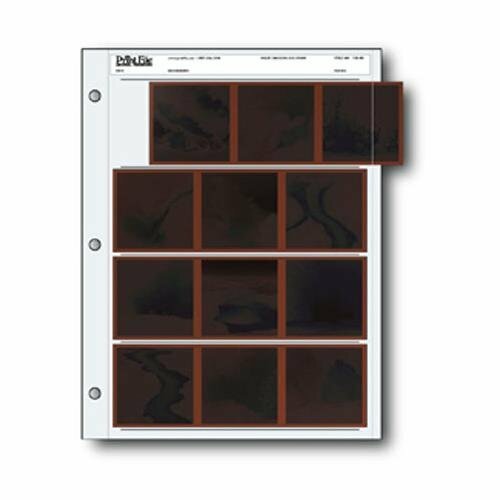 Pagina archivio file - archivio,