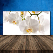 Paraschizzi Retrofornelli