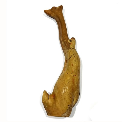 Raro esemplare originale - , da