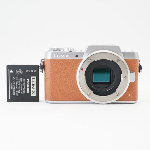 Fotocamera reflex mirrorless