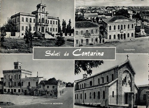 Rovigo contarina saluti - contarina,