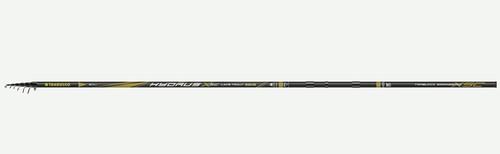 Canna trabucco hydrus - canna,