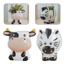  2 Pcs Vasi Per Piante Grasse