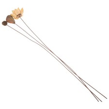  1 set loto essiccato con