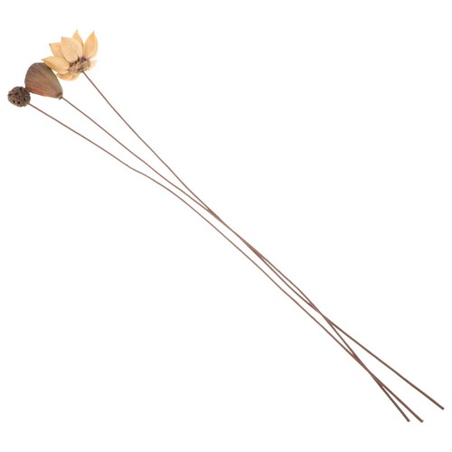 Set loto essiccato - , con