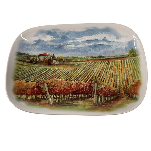Ceramiche noi piatto - ceramiche,