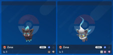 Pacchetto shiny 6iv - pacchetto,