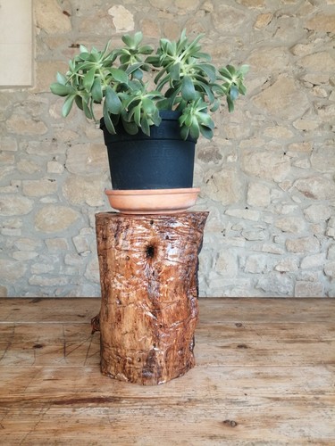 Ceppo legno ulivo - ceppo,