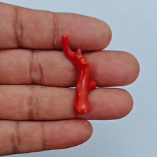 Ramo corallo rosso lucido - di,