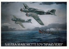 Aeronautica Militare - Savoia