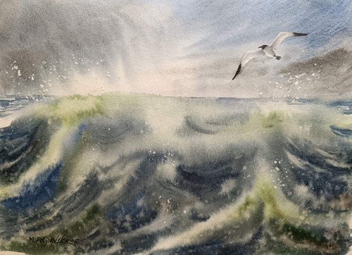 Gabbiano uccellino mare - uccellino,