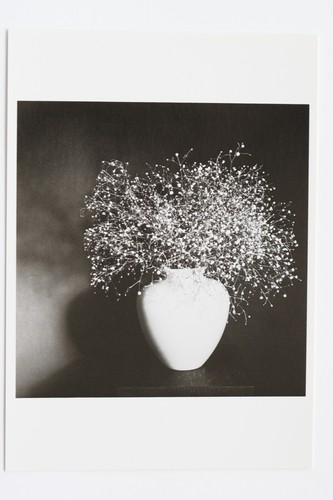 Robert mapplethorpe baby s - mapplethorpe:, baby's