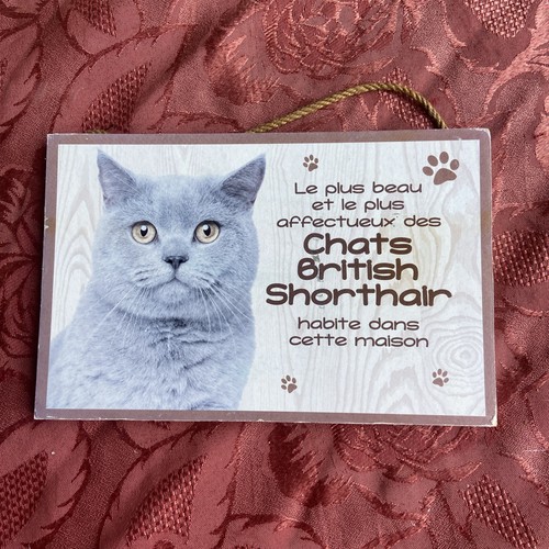 Plaque bois chat british - chat,