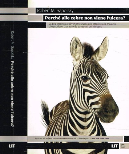 Perché alle zebre non viene
