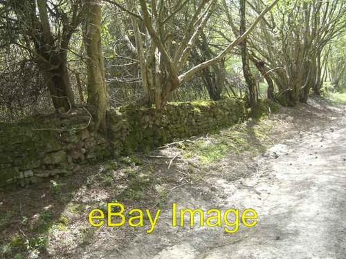Photo 6x4 dry - photo,