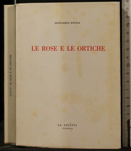 Rose le ortiche - rose,