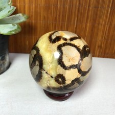 63mm Energia Naturale Settaria