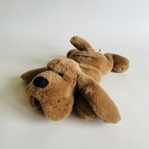 Aurora bloodhound basset hound - bloodhound,