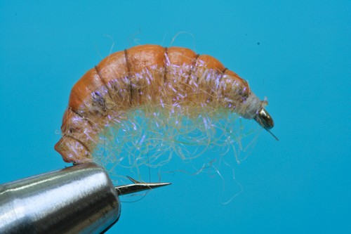 Fliegentom nymphe pezzi - fliegentom, scud