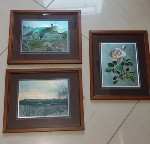 Lotto stampe artistiche - stampe,