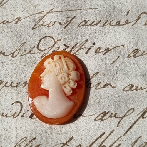 Cameo conchiglia antico - conchiglia,