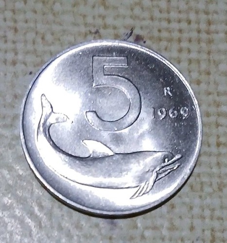 Lire delfino 1969 - delfino,