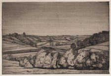 Walter Conz paesaggio campi
