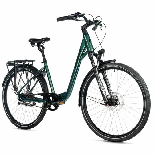 Bicicletta muscolare city bike