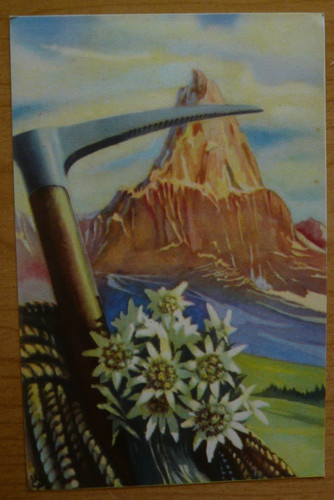 Illustrata picozza alpini con - alpini,