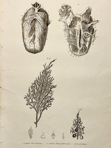 Tavolo antico rame 1834 - in,