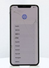 Apple iPhone XS Max A1921