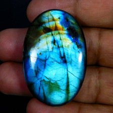 Commercio all'ingrosso 81,80