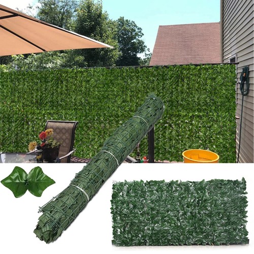 Siepe oscurante 1x3m - oscurante, edera
