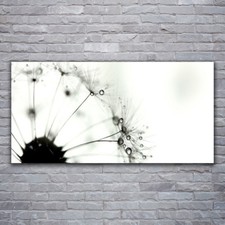 Stampa su tela arte da parete