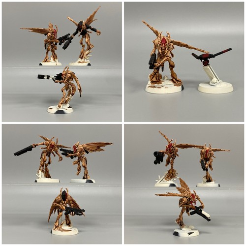 Vespid stingwings au - 10,