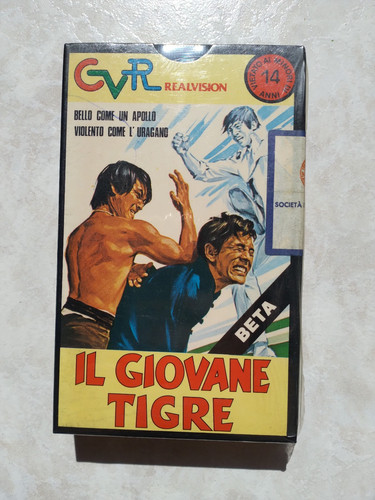 Giovane tigre tieng ho - il,