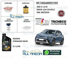Tagliando filtri olio selenia - tagliando,