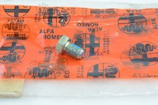 VITE FISSAGGIO APOGGIABRACCIA