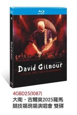 David Gilmour Live at the