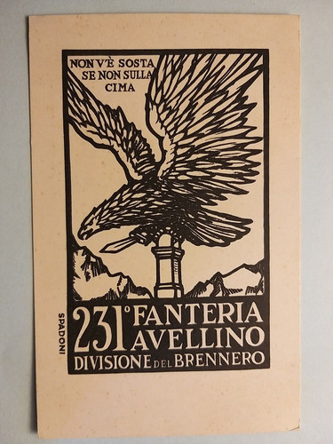 Militari 231 fanteria - -, 231°