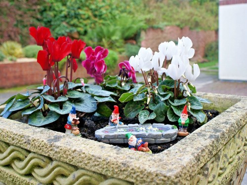Mini gnomi giardino - mini,