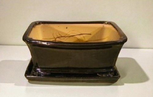 Vaso per bonsai ceramica - bonsai,